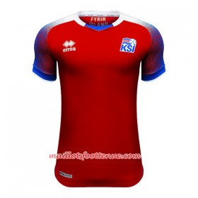 Maillot/Tenue Islande Gardien Domicile Coupe du monde 2018